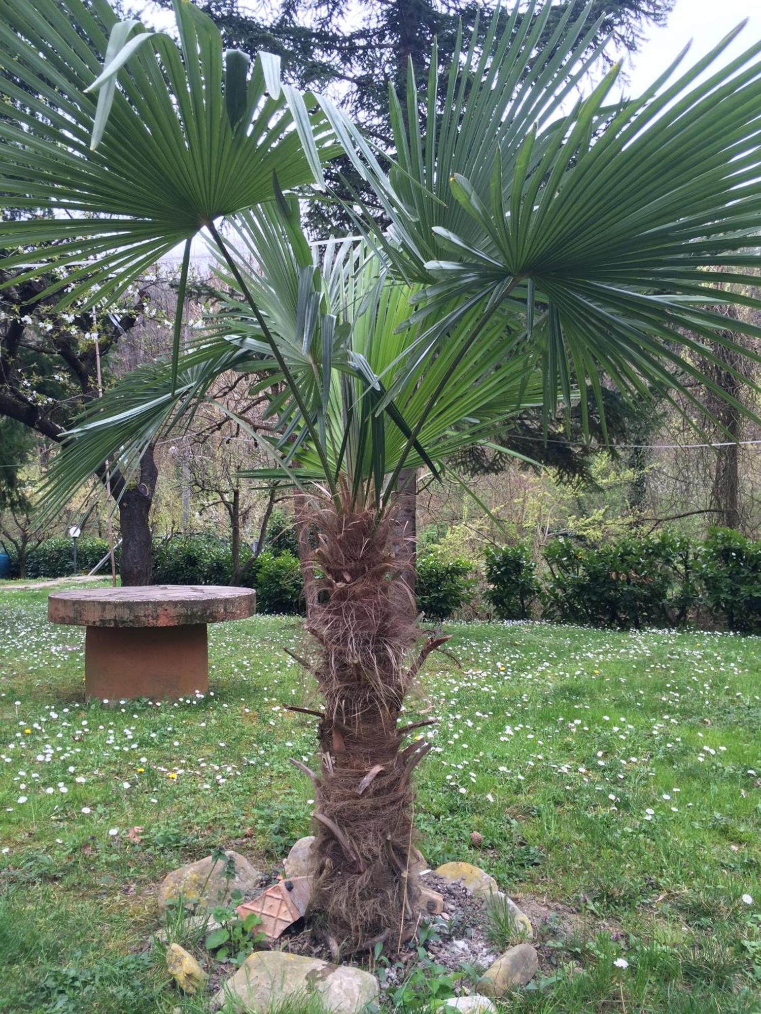 Locanda Irene Monte San Pietro Buitenkant foto
